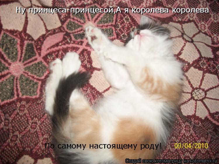 Ну принцеса-принцесой,А я то королева королева Ну принцеса-принцесой,А я королева королева По самому ... Котоматрица: Ну принцеса-принцесой,А я то королева королева Ну принцеса-принцесой,А я королева королева По самому настоящему роду!