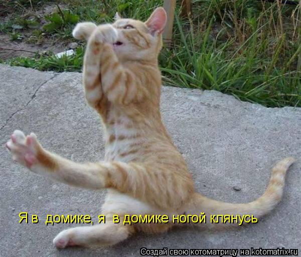 Я в домике, я в домике ногой клянусь Я в домике, я в домике ногой клянусь... Котоматрица: Я в домике, я в домике ногой клянусь Я в домике, я в домике ногой клянусь