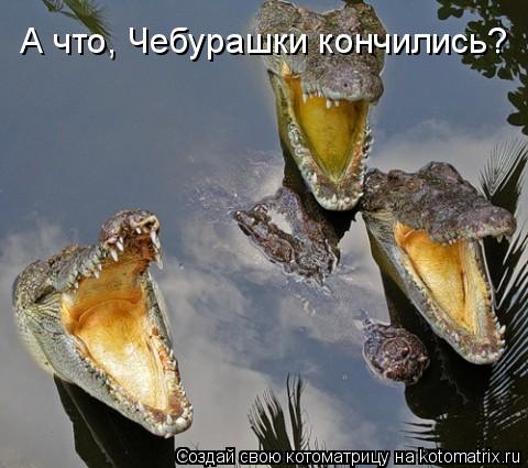 А что, Чебурашки кончились?... Котоматрица: А что, Чебурашки кончились?