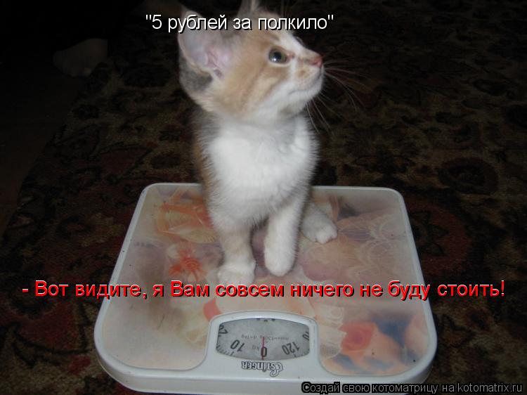 "5 рублей за полкило" - Вот видите, я Вам совсем ничего не буду стоить! - Вот видите, я Вам совсем ни... Котоматрица: "5 рублей за полкило" - Вот видите, я Вам совсем ничего не буду стоить! - Вот видите, я Вам совсем ничего не буду стоить!