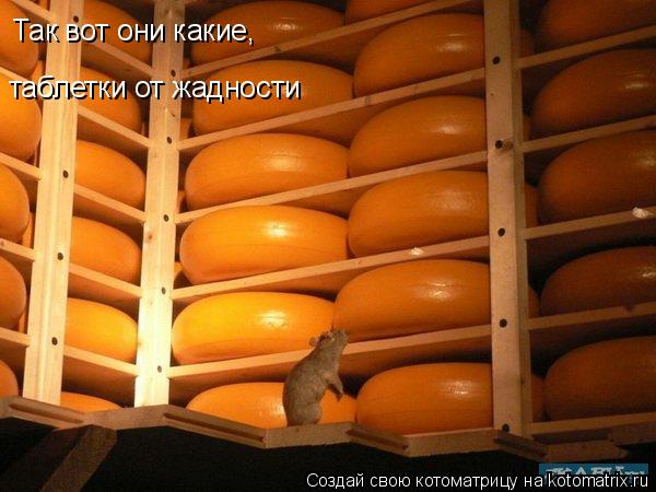 Так вот они какие, таблетки от жадности... Котоматрица: Так вот они какие, таблетки от жадности