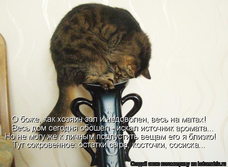 О боже, как хозяин зол и недоволен, весь на матах! Весь дом сегодня обошёл - искал источник аромата..... Котоматрица: О боже, как хозяин зол и недоволен, весь на матах! Весь дом сегодня обошёл - искал источник аромата... Но не могу же к личным подпустить вещам е