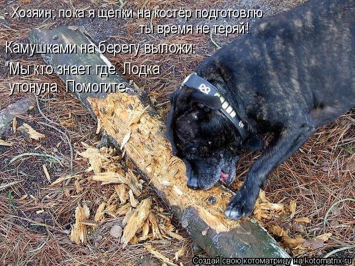 - Хозяин, пока я щепки на костёр подготовлю ты время не теряй! Камушками на берегу выложи: "Мы кто з... Котоматрица: - Хозяин, пока я щепки на костёр подготовлю ты время не теряй! Камушками на берегу выложи: "Мы кто знает где. Лодка утонула. Помогите."