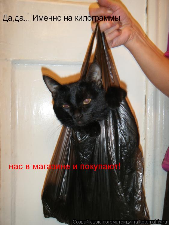 Да,да... Именно на килограммы нас в магазине и покупают!... Котоматрица: Да,да... Именно на килограммы нас в магазине и покупают!