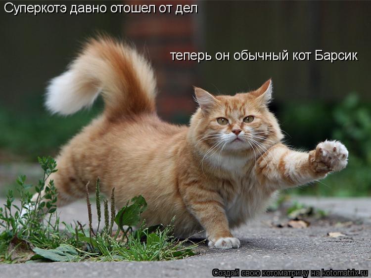Суперкотэ давно отошел от дел теперь он обычный кот Барсик... Котоматрица: Суперкотэ давно отошел от дел теперь он обычный кот Барсик