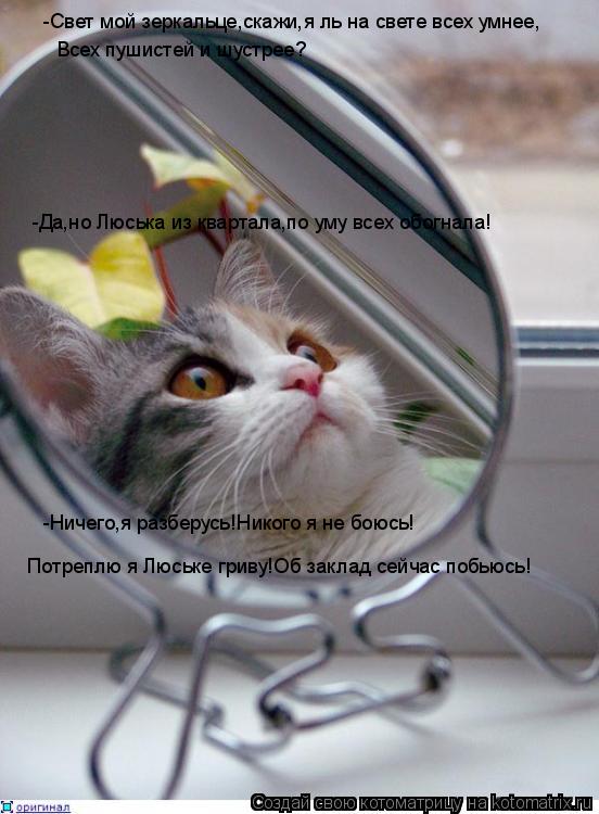-Свет мой зеркальце,скажи,я ль на свете всех умнее, Всех пушистей и шустрее? -Ничего,я разберусь!Нико... Котоматрица: -Свет мой зеркальце,скажи,я ль на свете всех умнее, Всех пушистей и шустрее? -Ничего,я разберусь!Никого я не боюсь! Потреплю я Люське гриву!Об