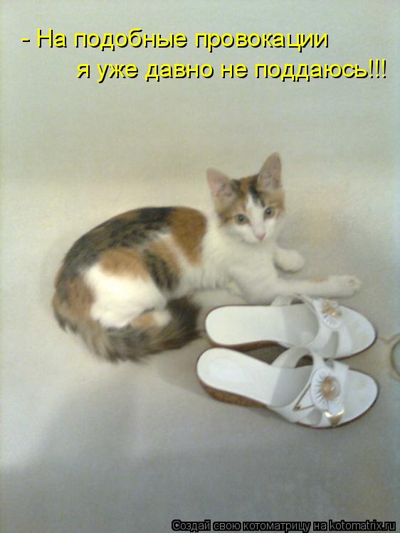 - На подобные провокации я уже давно не поддаюсь!!!... Котоматрица: - На подобные провокации я уже давно не поддаюсь!!!