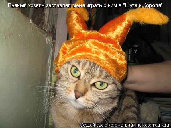 Пьяный хозяин заставлял меня играть с ним в "Шута и Короля"... Котоматрица: Пьяный хозяин заставлял меня играть с ним в "Шута и Короля"