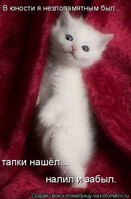 В юности я незлопамятным был... тапки нашёл... налил и забыл.... Котоматрица: В юности я незлопамятным был... тапки нашёл... налил и забыл.