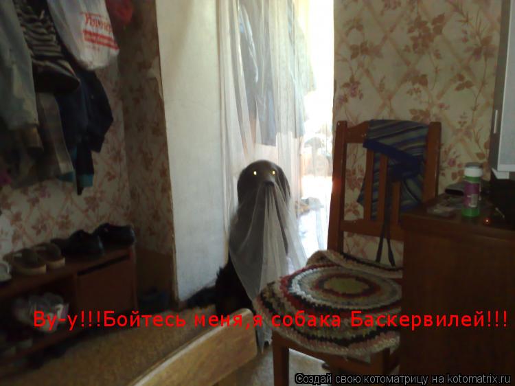 Ву-у!!!Бойтесь меня,я собака Баскервилей!!!... Котоматрица: Ву-у!!!Бойтесь меня,я собака Баскервилей!!!