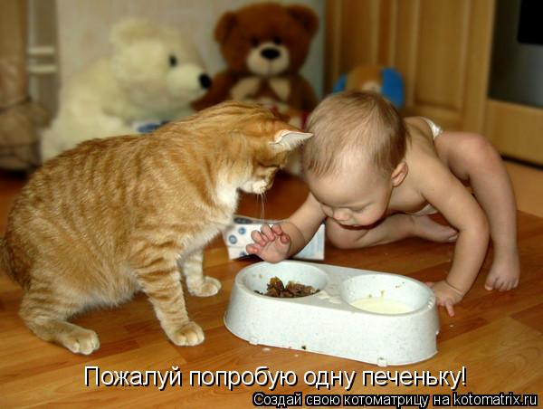 Пожалуй попробую одну печеньку!... Котоматрица: Пожалуй попробую одну печеньку!