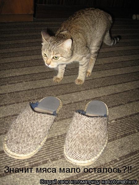 Котоматрица: Значит мяса мало осталось?!!