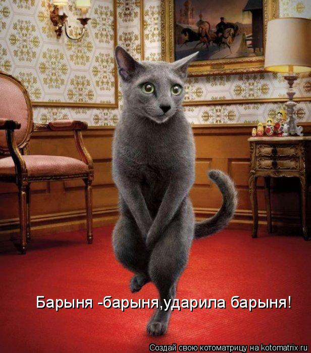 Барыня -барыня,ударила барыня!... Котоматрица: Барыня -барыня,ударила барыня!