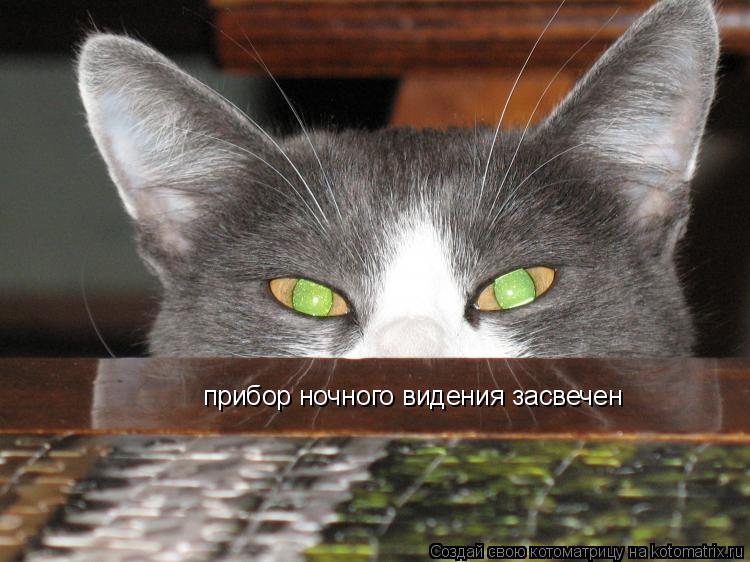 прибор ночного видения засвечен... Котоматрица: прибор ночного видения засвечен