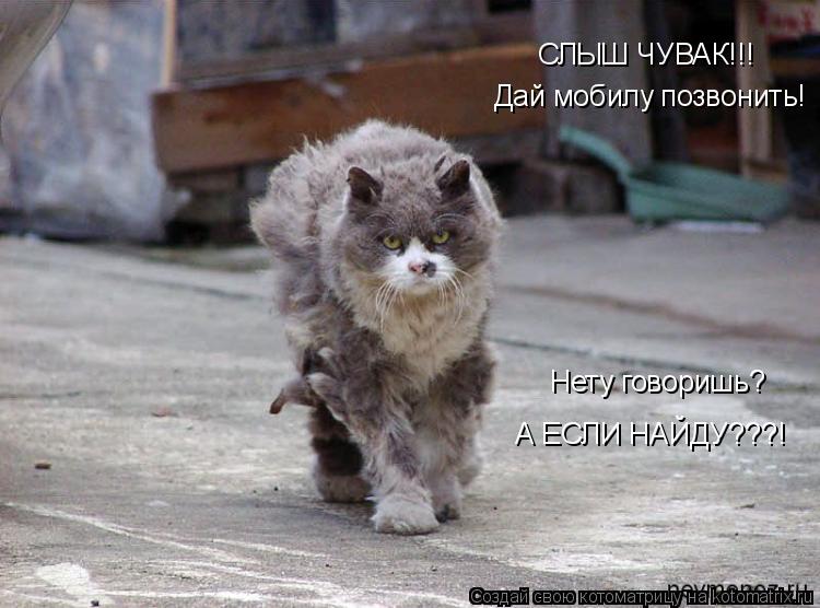 СЛЫШ ЧУВАК!!! Дай мобилу позвонить! Нету говоришь? А ЕСЛИ НАЙДУ???!... Котоматрица: СЛЫШ ЧУВАК!!! Дай мобилу позвонить! Нету говоришь? А ЕСЛИ НАЙДУ???!