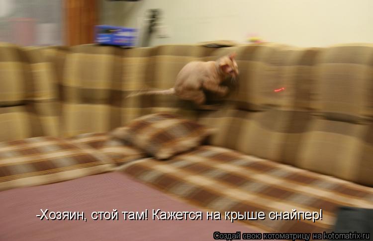 -Хозяин, стой там! Кажется на крыше снайпер!... Котоматрица: -Хозяин, стой там! Кажется на крыше снайпер!