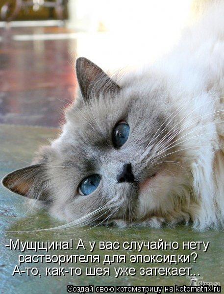 -Мущщина! А у вас случайно нету растворителя для эпоксидки? А-то, как-то шея уже затекает...... Котоматрица: -Мущщина! А у вас случайно нету растворителя для эпоксидки? А-то, как-то шея уже затекает...
