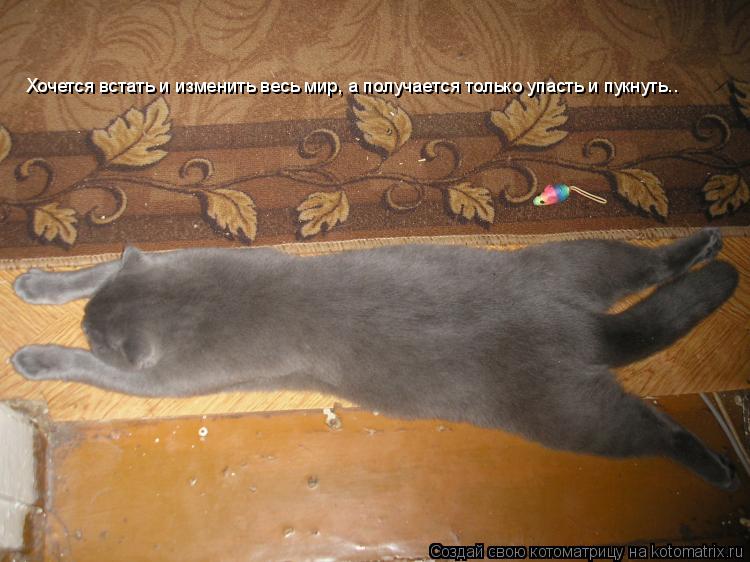 Котоматрица: Хочется встать и изменить весь мир, а получается только упасть и пукнуть..