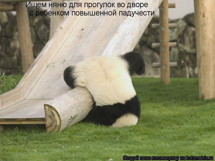 Ищем няню для прогулок во дворе с ребенком повышенной падучести.... Котоматрица: Ищем няню для прогулок во дворе с ребенком повышенной падучести.