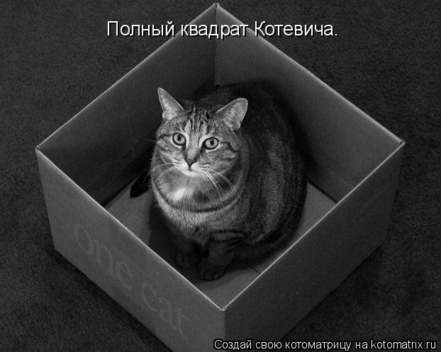 Полный квадрат Котевича.... Котоматрица: Полный квадрат Котевича.
