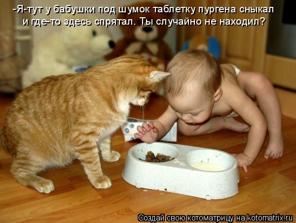 -Я-тут у бабушки под шумок таблетку пургена сныкал и где-то здесь спрятал. Ты случайно не находил?... Котоматрица: -Я-тут у бабушки под шумок таблетку пургена сныкал и где-то здесь спрятал. Ты случайно не находил?