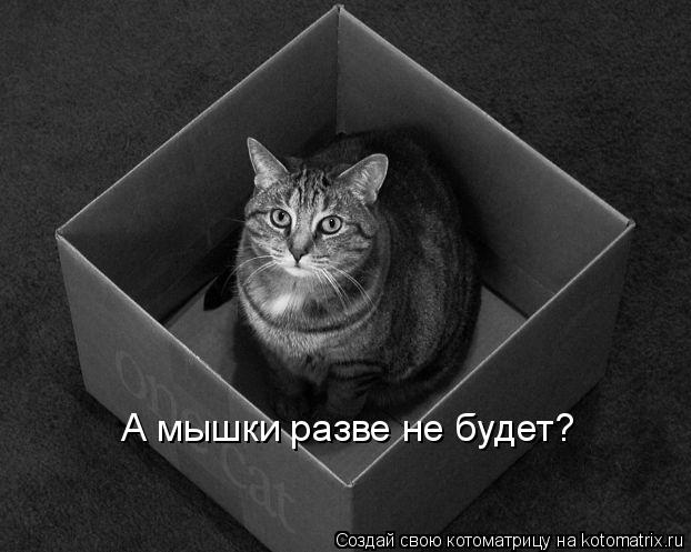 А мышки разве не будет?... Котоматрица: А мышки разве не будет?