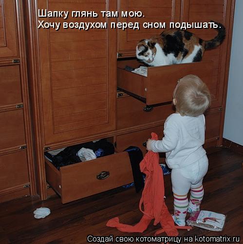 Шапку глянь там мою. Хочу воздухом перед сном подышать.... Котоматрица: Шапку глянь там мою. Хочу воздухом перед сном подышать.