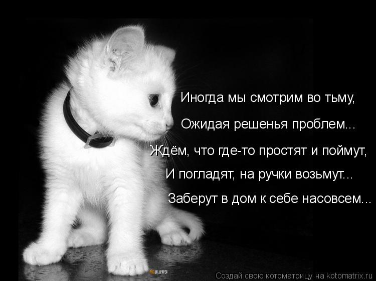 Иногда мы смотрим во тьму, Ожидая решенья проблем... Ждём, что где-то простят и поймут, И погладят, н... Котоматрица: Иногда мы смотрим во тьму, Ожидая решенья проблем... Ждём, что где-то простят и поймут, И погладят, на ручки возьмут... Заберут в дом к себе насо