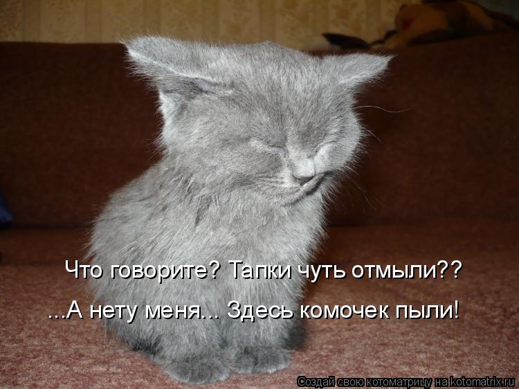 Что говорите? Тапки чуть отмыли?? ...А нету меня... Здесь комочек пыли!... Котоматрица: Что говорите? Тапки чуть отмыли?? ...А нету меня... Здесь комочек пыли!