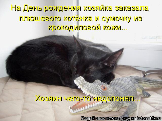 Котоматрица: На День рождения хозяйка заказала плюшевого котёнка и сумочку из крокодиловой кожи... Хозяин чего-то недопонял...