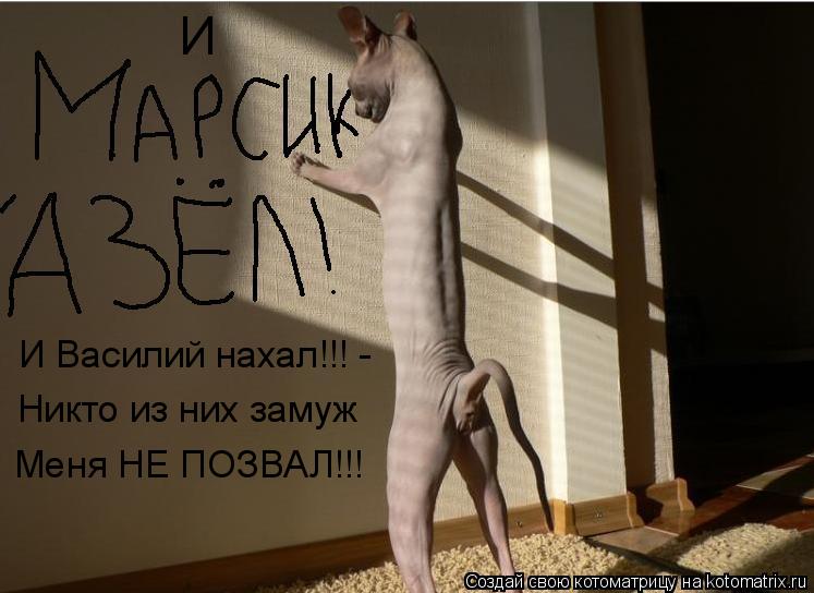 И И Василий нахал!!! - Никто из них замуж Меня НЕ ПОЗВАЛ!!!... Котоматрица: И И Василий нахал!!! - Никто из них замуж Меня НЕ ПОЗВАЛ!!!