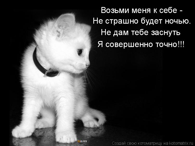 Возьми меня к себе - Не страшно будет ночью. Не дам тебе заснуть Я совершенно точно!!!... Котоматрица: Возьми меня к себе - Не страшно будет ночью. Не дам тебе заснуть Я совершенно точно!!!