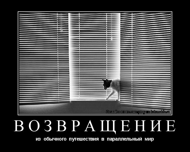 Возвращение из обычного путешествия в параллельный мир... Котоматрица: Возвращение из обычного путешествия в параллельный мир
