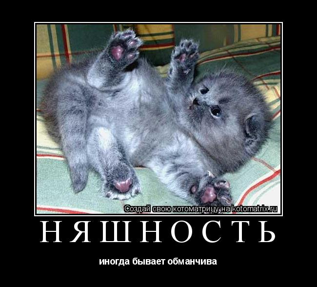 НЯШНОСТЬ иногда бывает обманчива... Котоматрица: НЯШНОСТЬ иногда бывает обманчива