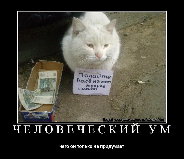 Котоматрица: ЧЕЛОВЕЧЕСКИЙ УМ чего он только не придумает