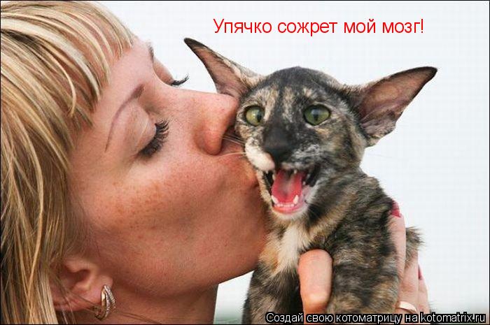 Упячко сожрет мой мозг!... Котоматрица: Упячко сожрет мой мозг!