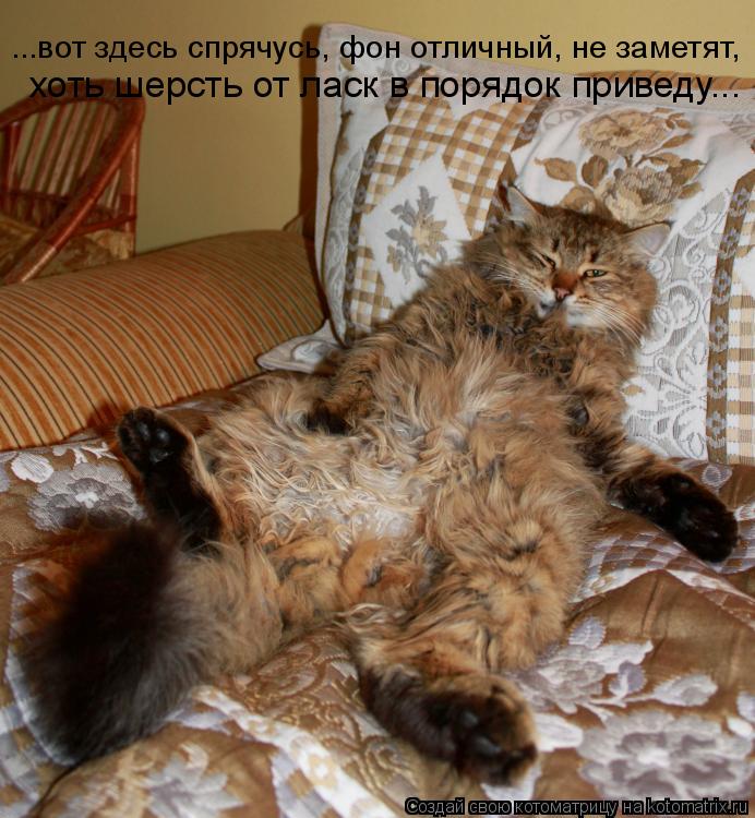 хоть шерсть от ласк в порядок приведу... ...вот здесь спрячусь, фон отличный, не заметят,... Котоматрица: хоть шерсть от ласк в порядок приведу... ...вот здесь спрячусь, фон отличный, не заметят,