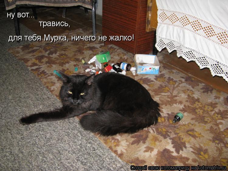 ну вот... травись, для тебя Мурка, ничего не жалко!... Котоматрица: ну вот... травись, для тебя Мурка, ничего не жалко!