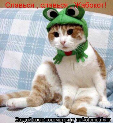 Славься , славься , Жабокот!... Котоматрица: Славься , славься , Жабокот!