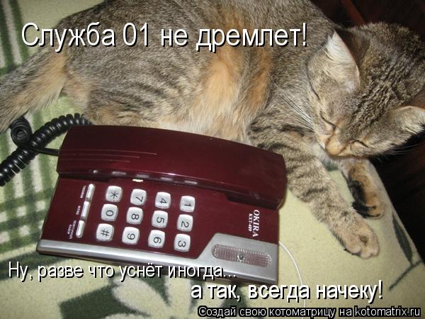 Служба 01 не дремлет! Ну, разве что уснёт иногда... а так, всегда начеку!... Котоматрица: Служба 01 не дремлет! Ну, разве что уснёт иногда... а так, всегда начеку!