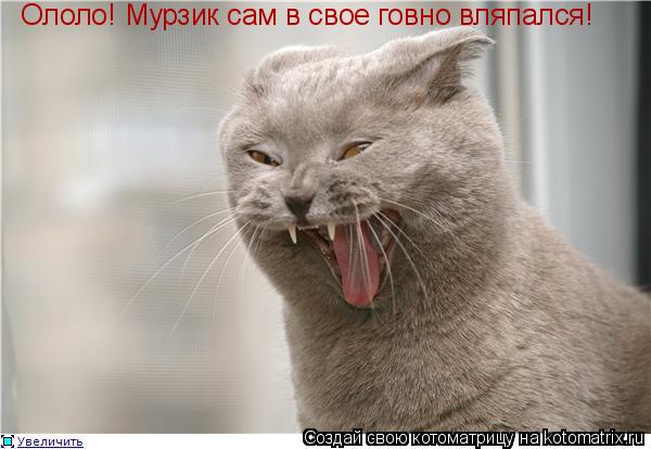 Ололо! Мурзик сам в свое говно вляпался!... Котоматрица: Ололо! Мурзик сам в свое говно вляпался!