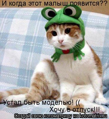 Котоматрица: И когда этот малыш появится?? Устал быть моделью! (( Хочу в отпуск!!!