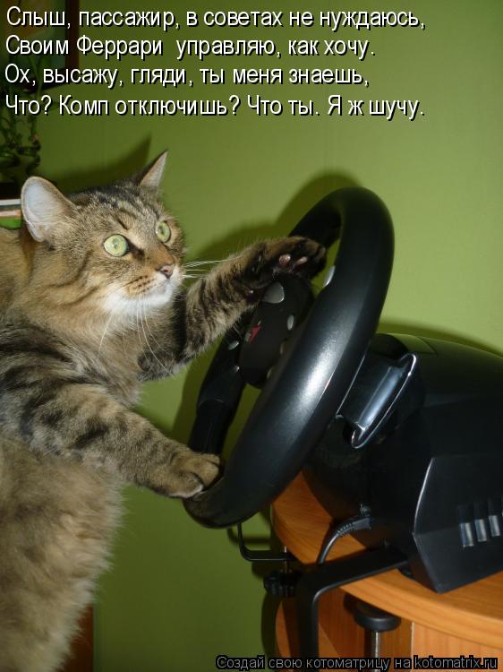 Слыш, пассажир, в советах не нуждаюсь, Своим Феррари управляю, как хочу. Ох, высажу, гляди, ты меня ... Котоматрица: Слыш, пассажир, в советах не нуждаюсь, Своим Феррари управляю, как хочу. Ох, высажу, гляди, ты меня знаешь, Что? Комп отключишь? Что ты. Я ж шучу