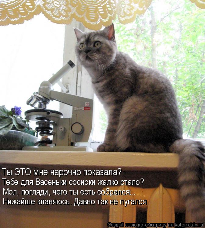 Ты ЭТО мне нарочно показала? Тебе для Васеньки сосиски жалко стало? Мол, погляди, чего ты есть собрал... Котоматрица: Ты ЭТО мне нарочно показала? Тебе для Васеньки сосиски жалко стало? Мол, погляди, чего ты есть собрался... Нижайше кланяюсь. Давно так не пуга