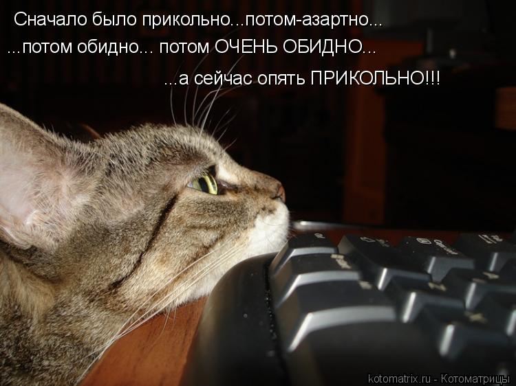 Сначало было прикольно...потом-азартно... ...потом обидно... потом ОЧЕНЬ ОБИДНО... ...а сейчас опять ... Котоматрица: Сначало было прикольно...потом-азартно... ...потом обидно... потом ОЧЕНЬ ОБИДНО... ...а сейчас опять ПРИКОЛЬНО!!!