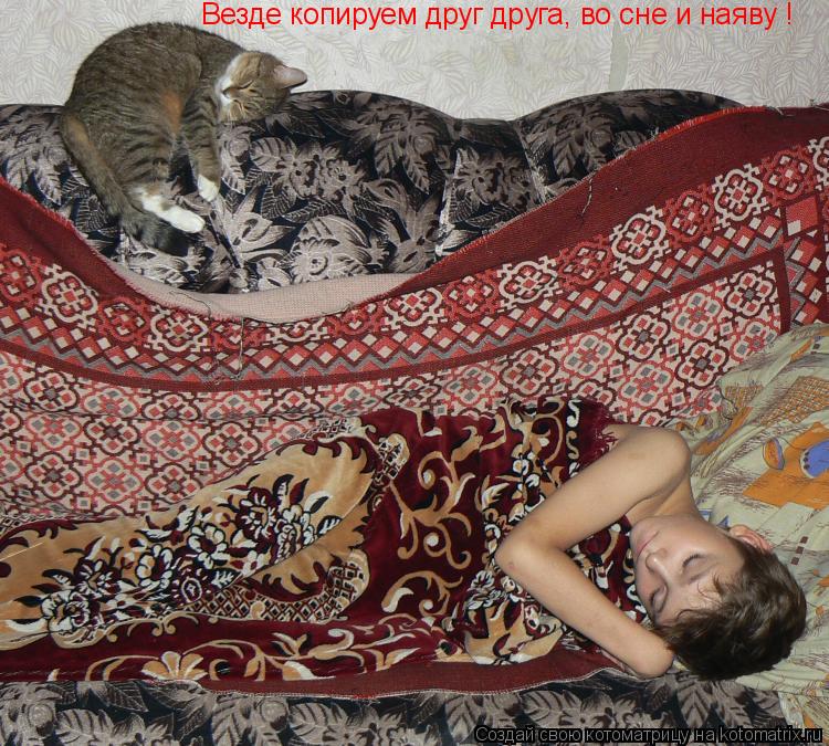 Котоматрица: Везде копируем друг друга, во сне и наяву !