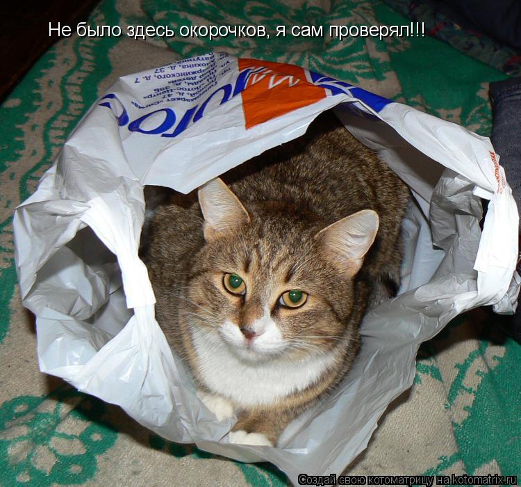 Котоматрица: Не было здесь окорочков, я сам проверял!!!