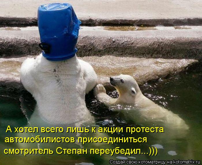 А хотел всего лишь к акции протеста автомобилистов присоединиться смотритель Степан переубедил...)))... Котоматрица: А хотел всего лишь к акции протеста автомобилистов присоединиться смотритель Степан переубедил...)))