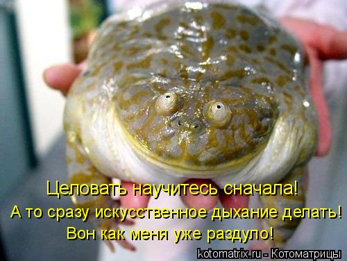 Котоматрица: Целовать научитесь сначала! А то сразу искусственное дыхание делать! Вон как меня уже раздуло!
