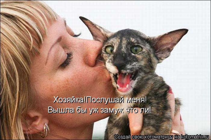 Хозяйка!Послушай меня! Вышла бы уж замуж что ли!... Котоматрица: Хозяйка!Послушай меня! Вышла бы уж замуж что ли!